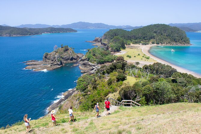 3 Hours // Hole in the Rock Cruise & Bay of Islands Tour - Accessibility Information