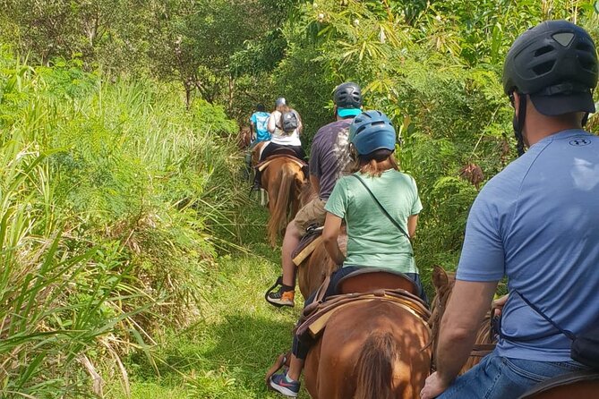 3 Hours Horseback Riding From Nature Trails to Sofa Stone - Group Size and Experience