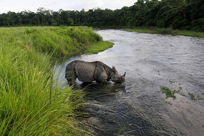 3 Nights 4 Days Chitwan National Park With Tower Night Stay - Inclusions and Exclusions