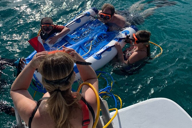 3HR Snuba, Shipwreck and Iguana Island Tour - Exploring the Shipwreck