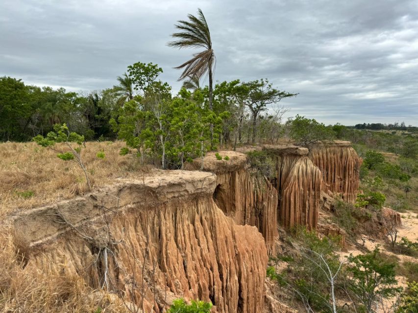 4- Hour Hiking Tour in Two Different Tropical Worlds - Wildlife and Nature