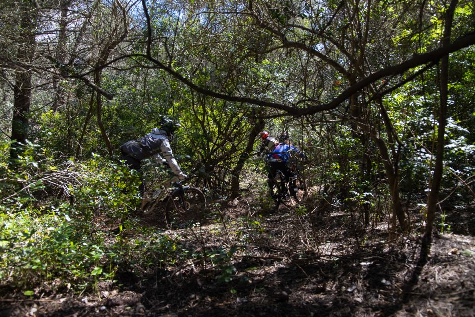 4 Hour Private MTB Enduro Trail Tour in Sintra Mountain - Inclusions