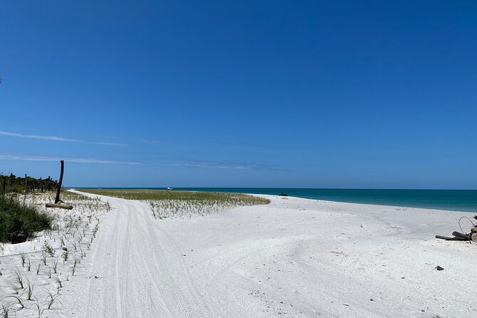 4-Hour St. Pete Pier to Egmont Key Experience by Ferry - Amenities and Logistics