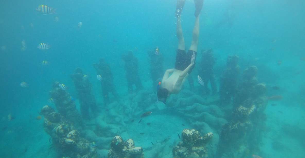 4 Hours Snorkeling 3 Gilis ( Trawangan,Meno, Gili Air) - Snorkeling Experience