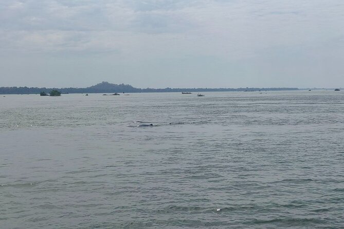 4 Hours Taking Tuk Tuk to See Mekong Dolphins and Countryside - Tips for an Enjoyable Tour