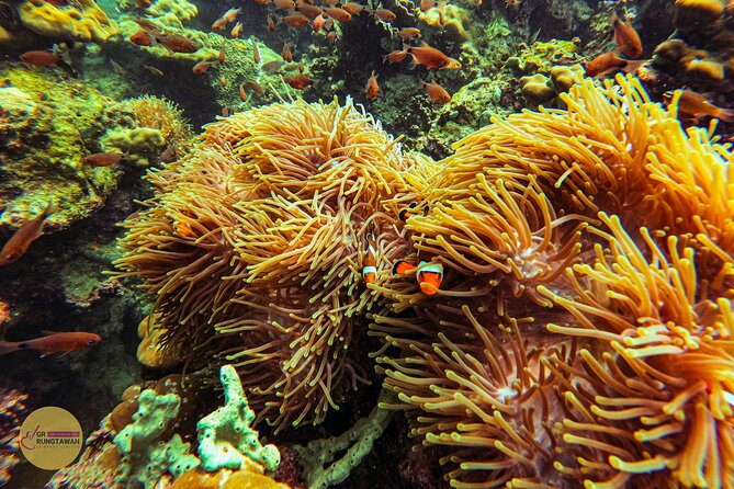 4 Islands Day Tour by Speed Boat (from Ao Nang, Krabi) - Snorkeling and Lunch