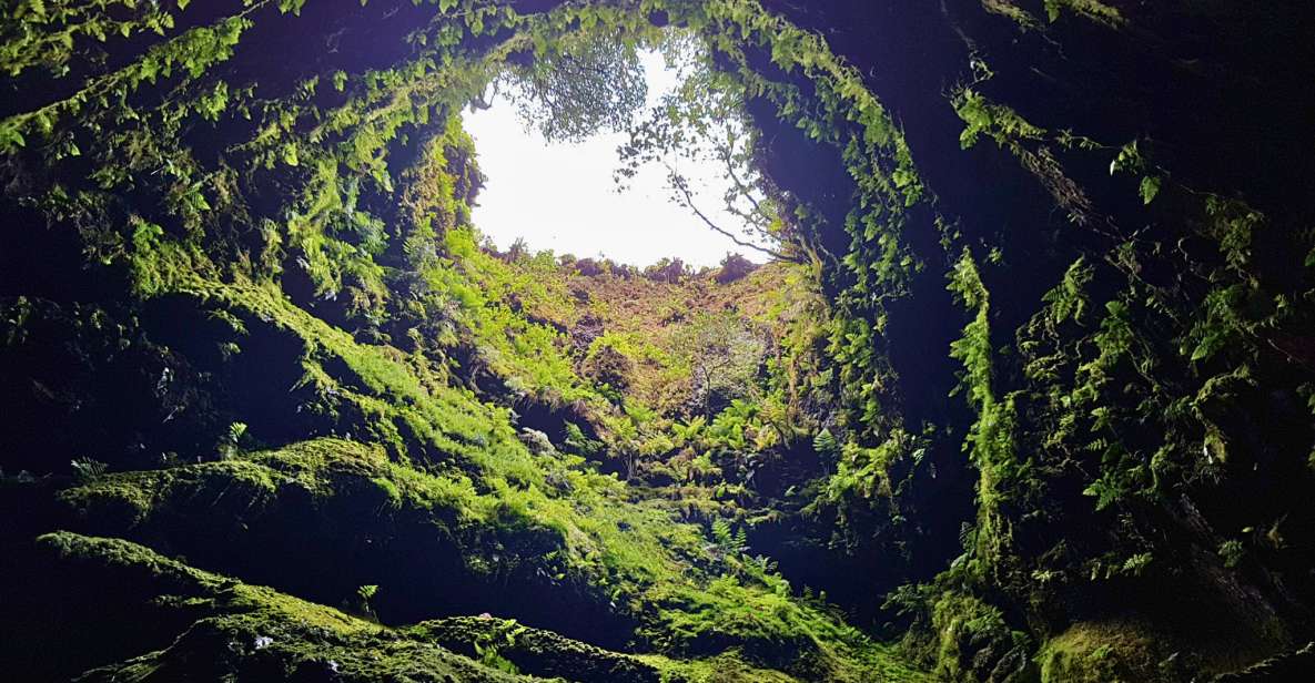 4 Peaks, 4 Vulcanoes - Laurissilva Forest: Azores Geopark Exploration