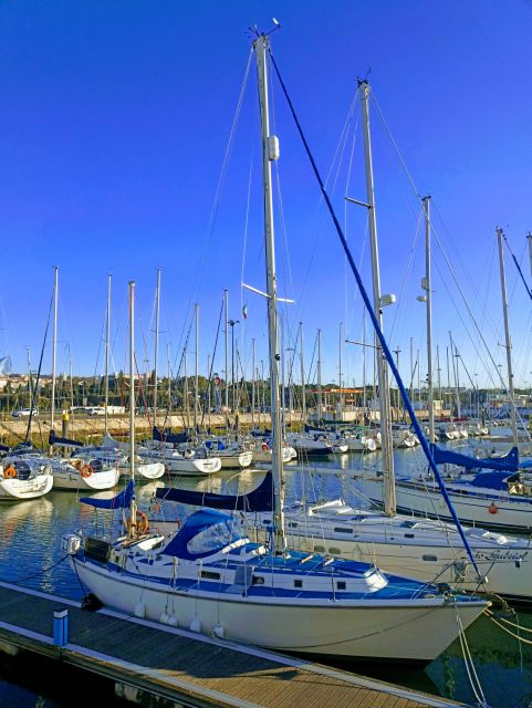 4h Private Sailing in Lisbon: Exclusive Offer! - Swim Stop for Refreshment