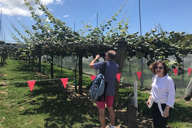 4hr Shore Excursion - History and Tasting Tour FREE Kiwifruit Tasting - Pickup and Meeting Information