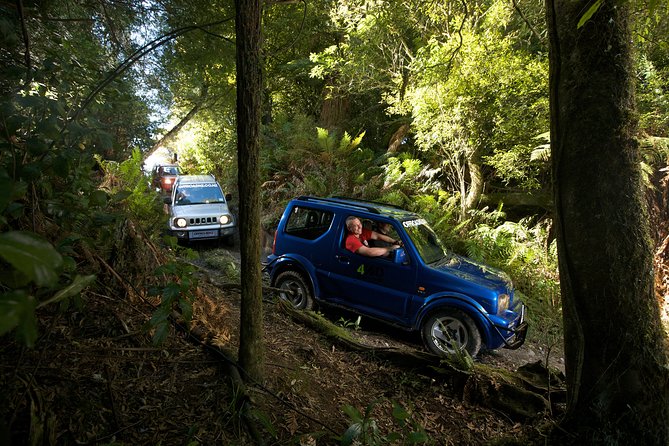 4WD Bush Safari at Off Road NZ - Additional Adventure Activities