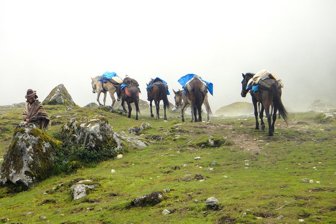 5-Day All-Inclusive Salkantay Trek To Machu Picchu - Meeting and Pickup Details