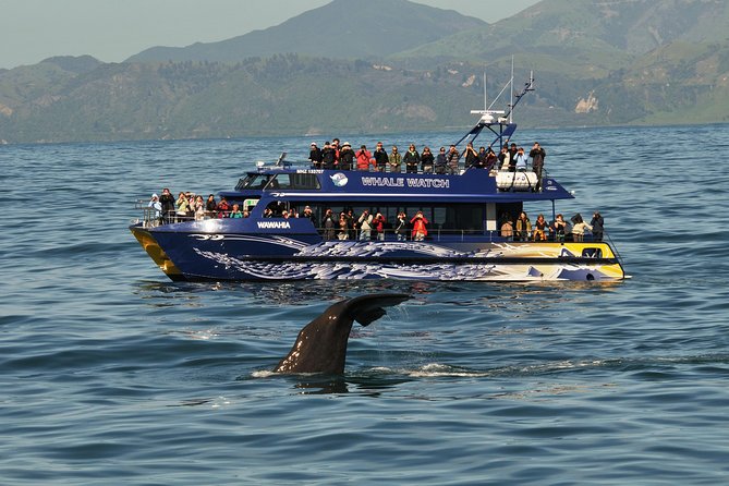 5-Day New Zealand North and South Island Highlights Tour - Transportation and Accessibility Options