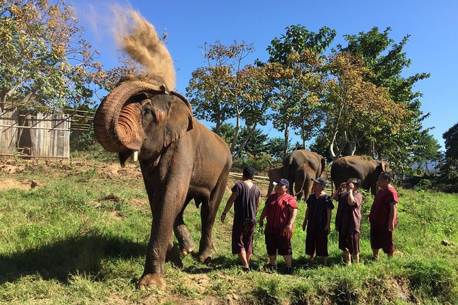 5 Day Tuk Tuk Adventure in Chiang Mai - With Driver - Meals Included