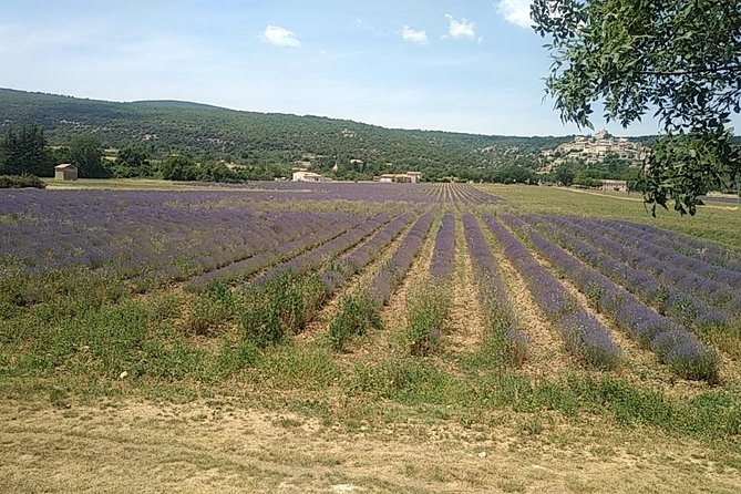 5-Hour Private Sightseeing Tour of the Provence From Marseille in Luxury Car - Included Amenities
