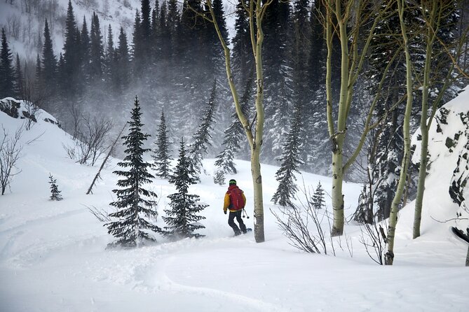 6-Day Kazakhstan Ridder Camp Ski Private Guided Tour and Adventure - Health and Accessibility Guidelines