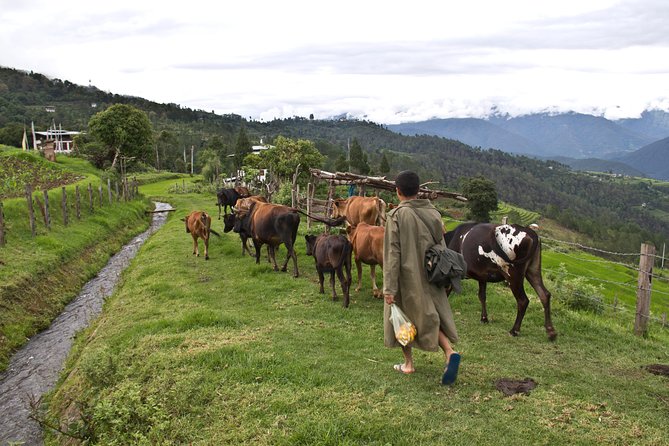 6 Days Explore the Hidden Kingdom of Bhutan - Travel Requirements