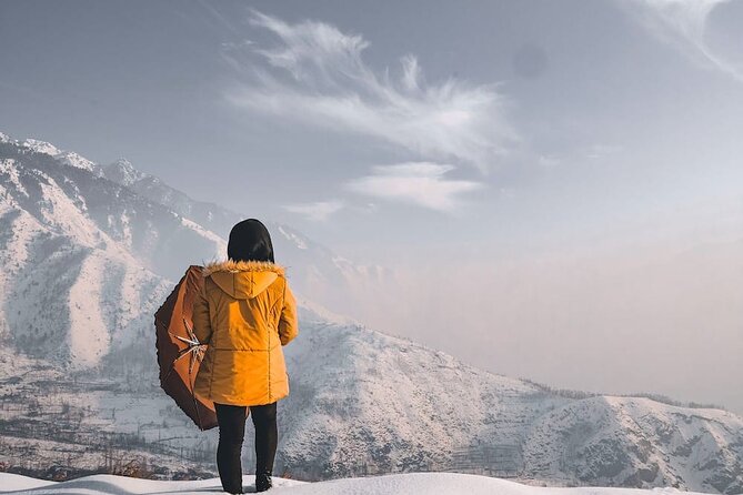 6 Days Private Tour in Kashmir Valley - Accommodation and Meals