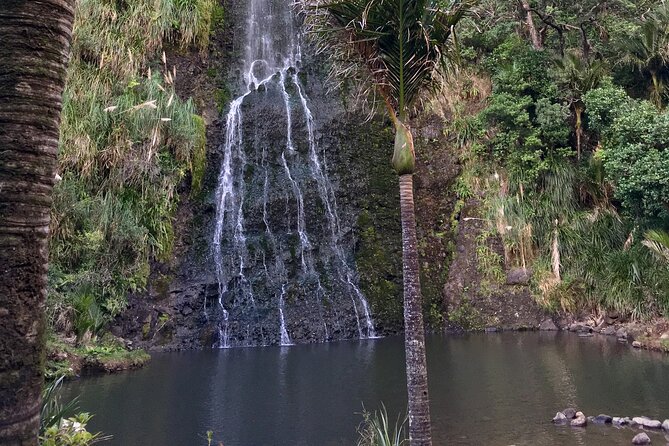 6 Hours Sightseeing Tour in Auckland - Tour Experience