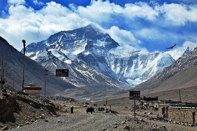 8 Days Lhasa Gyantse Shigatse Mt Everest Group Tour - Tour Highlights