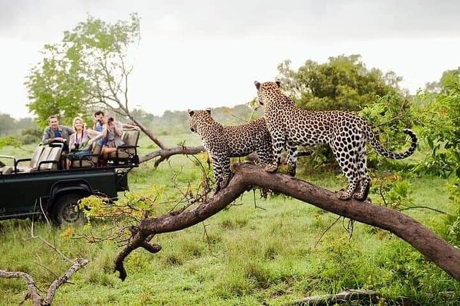 8 Days Private Guided Tour in Sri Lanka With Accommodation (Bb) - Inclusions and Exclusions