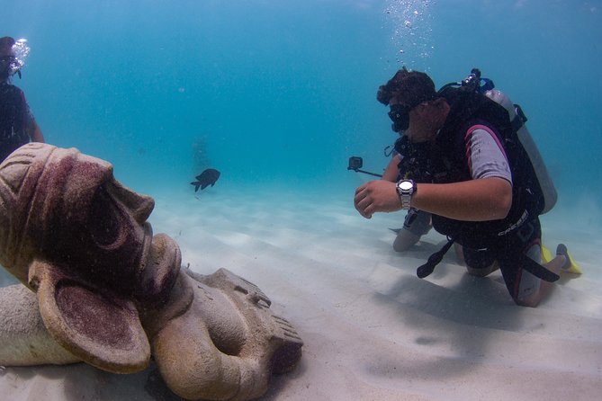 8-Dive Scuba Adventure in Bayahibe - Equipment Rentals and Costs