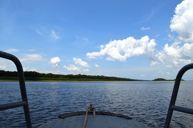 8-Hour Amazonas Jungle Treck & Anavilhanas Archipelago - Activities in the Jungle