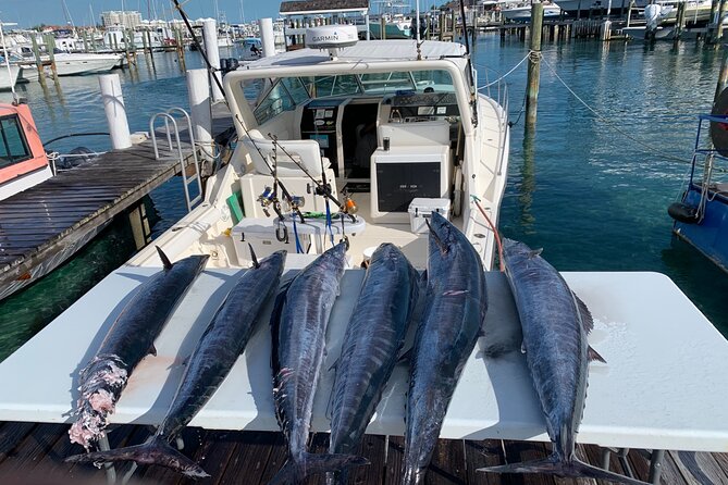 8 Hours 38FT Reel Dreams Private Charter Nassau - Activities During the Charter