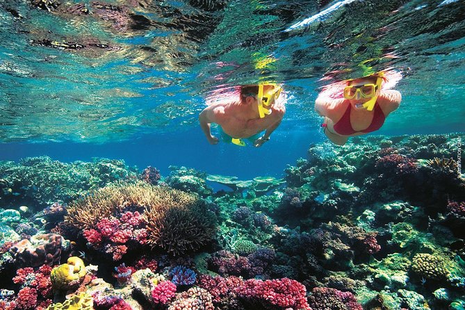 A Day to Komodo Island - Reviews and Feedback