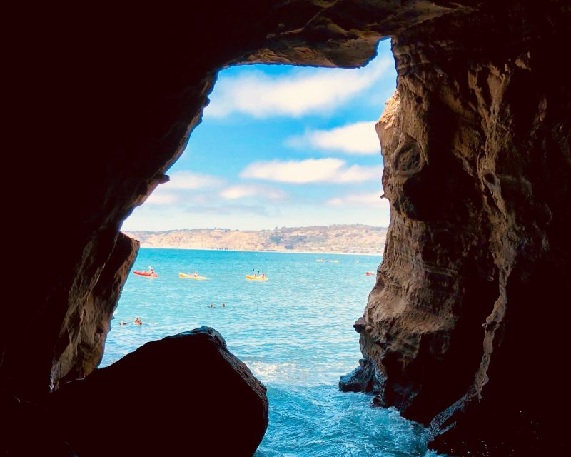 A Seaside Stroll: La Jollas Hidden Treasures Walking Tour - Cormorants and Seals at Outcroppings