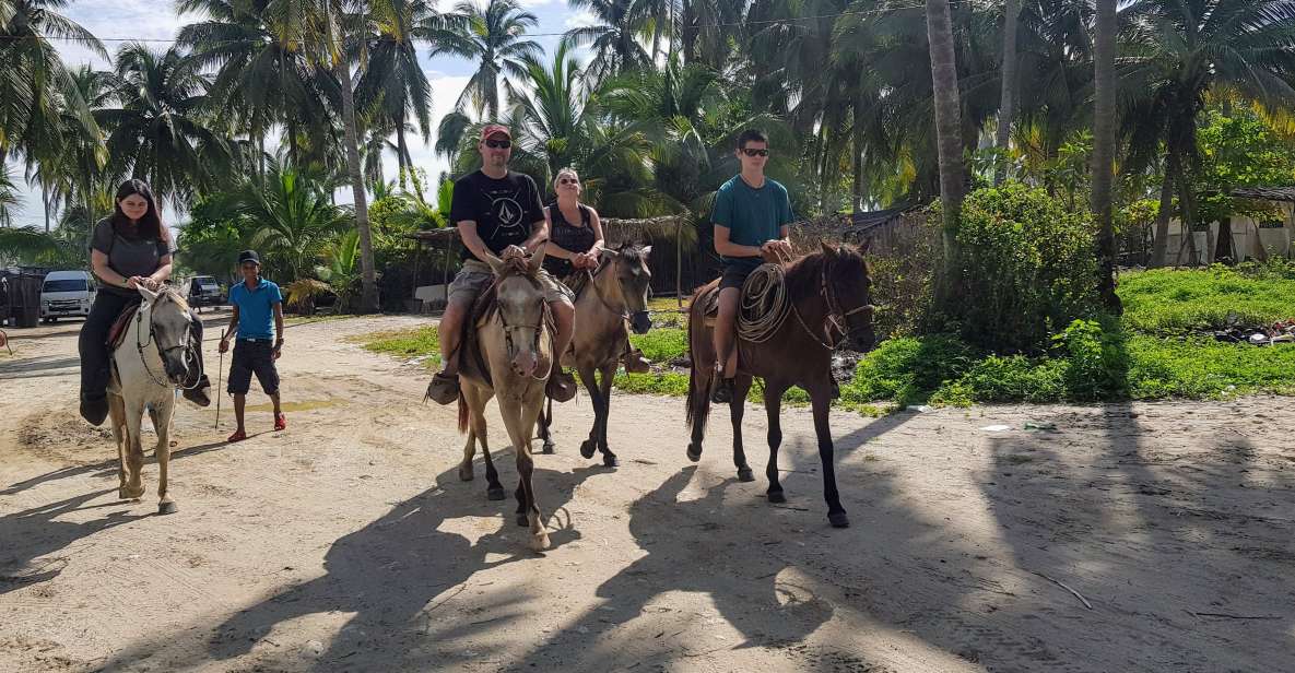 Acapulco: Gentle Beach Horse Riding Tour on Barra Vieja - Scenic Ocean Views