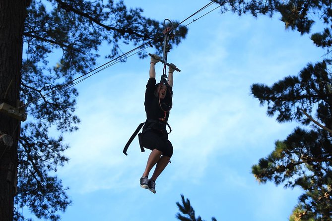 Adrenalin Forest Obstacle Course in Christchurch - Safety Measures in Place