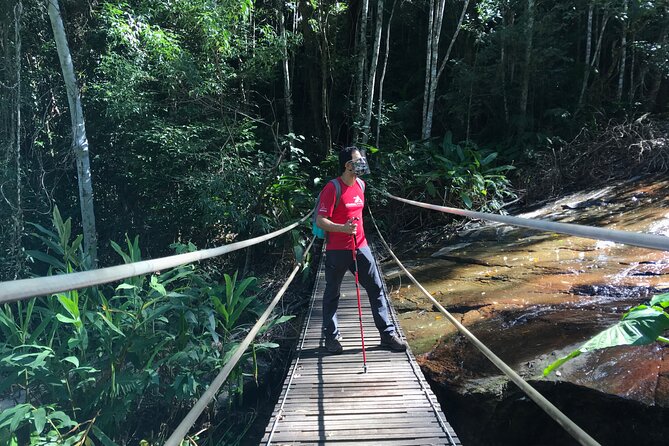 Adventure & History at Tijuca Forest (Small Group or Private) - Attractions Along the Trail