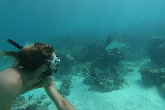 Afternoon Half Day Cruise From Providenciales With Snorkeling and Iguana Island - What to Bring