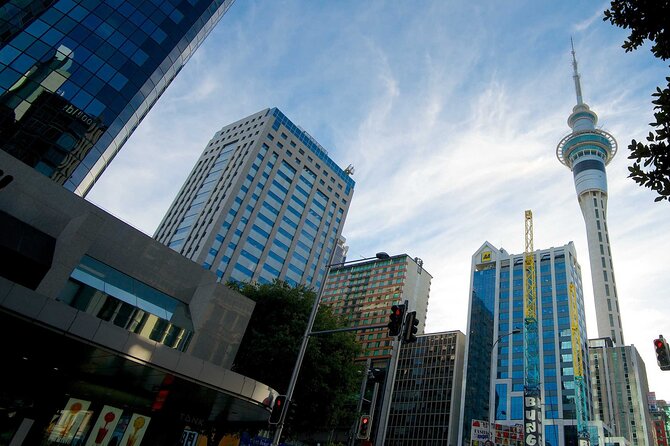 Airport Transfer: Auckland Airport AKL to Auckland by Sedan Car - Traveler Requirements and Considerations
