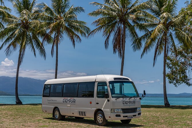 Airport Transfers Between Cairns Airport and Port Douglas - Accessibility Features