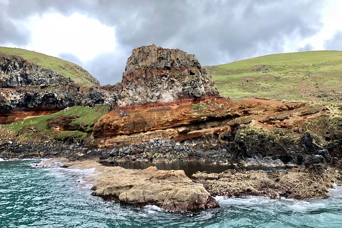 Akaroa and Banks Peninsula Small Group Tour (Nature Cruise or Dolphin Swim) - Exploring Akaroa Village