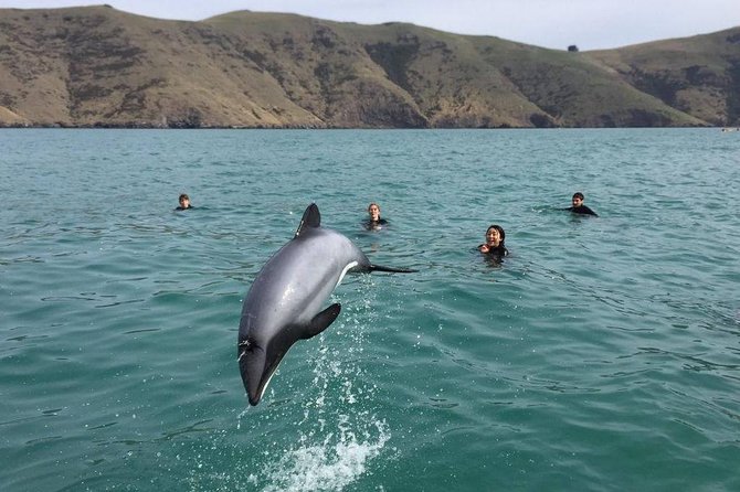 Akaroa Day Tour From Christchurch - Pickup and Meeting Details