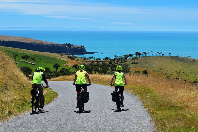 Akaroa Explorer- Guided Electric Bike Tour in Akaroa - Health and Safety