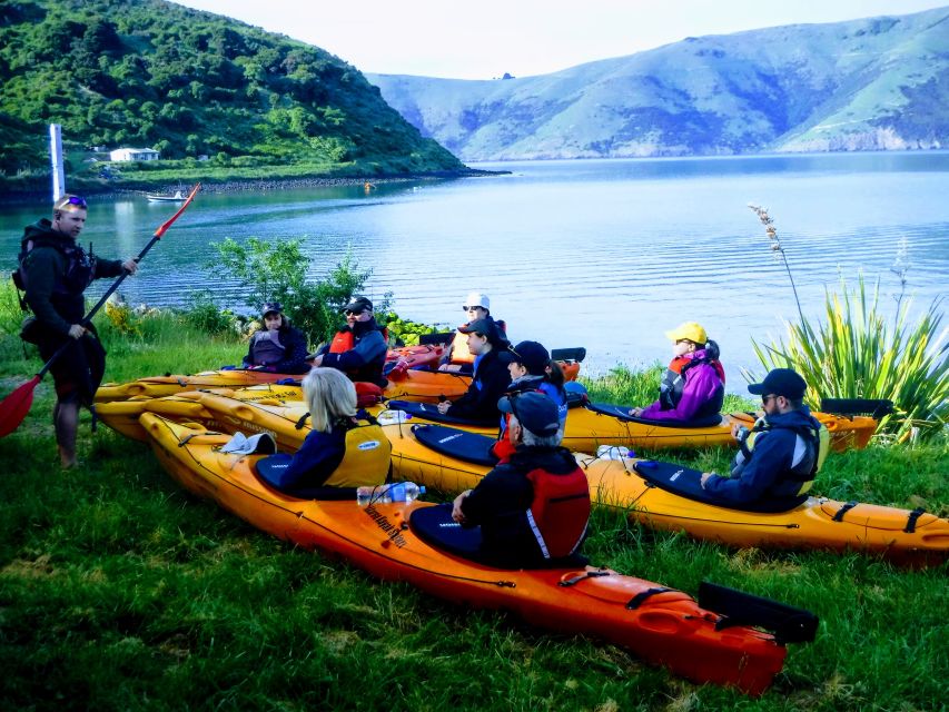 Akaroa: Guided Sea Kayaking Safari at Sunrise - Duration and Language