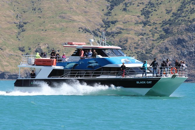 Akaroa Harbour Nature Cruise - Scenic Highlights
