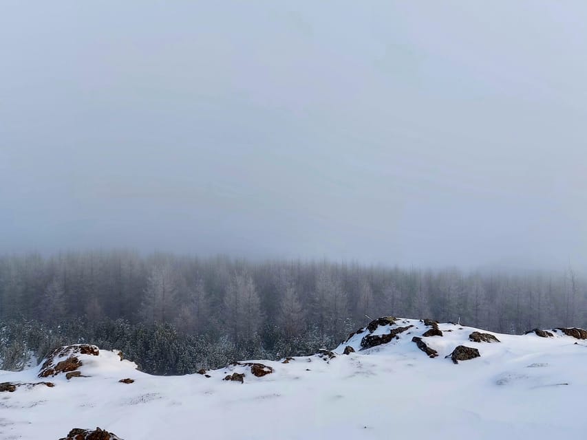 Akureyri: Snowshoeing With the Traveling Viking - Scenic Highlights of Akureyri