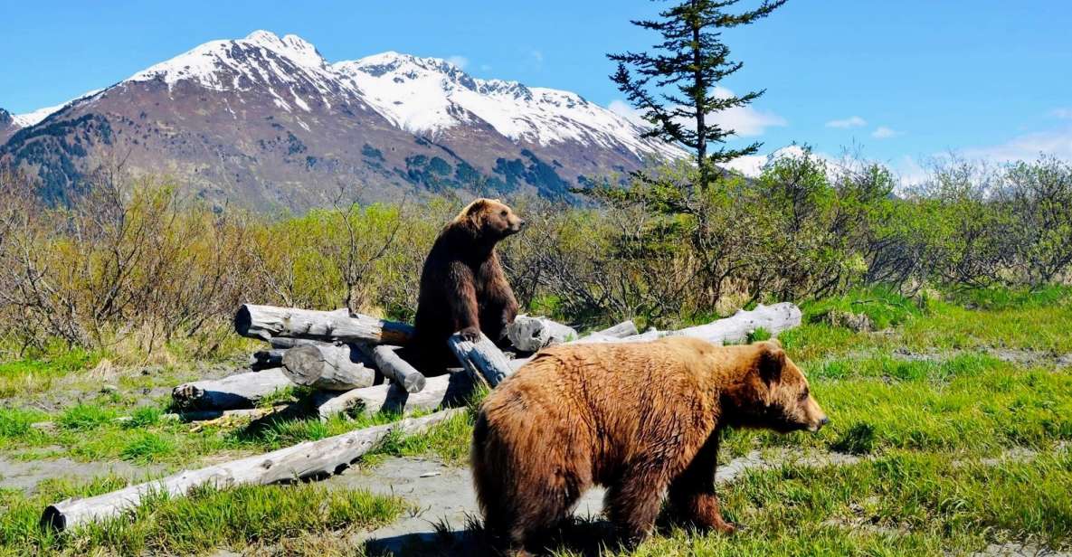 Alaska Wildlife Conservation Center: Admission Ticket - Interpretive Signage at Habitats