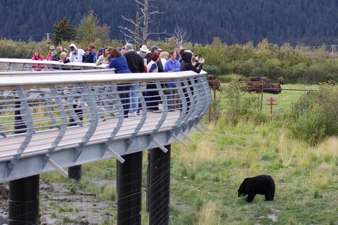 Alaska Wildlife Day Tour With Free Hotel Pickup - Tour Guide Expertise