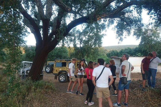 Albufeira (FULL DAY) Jeep Safari Tour - Exploring Orange Groves and Farms