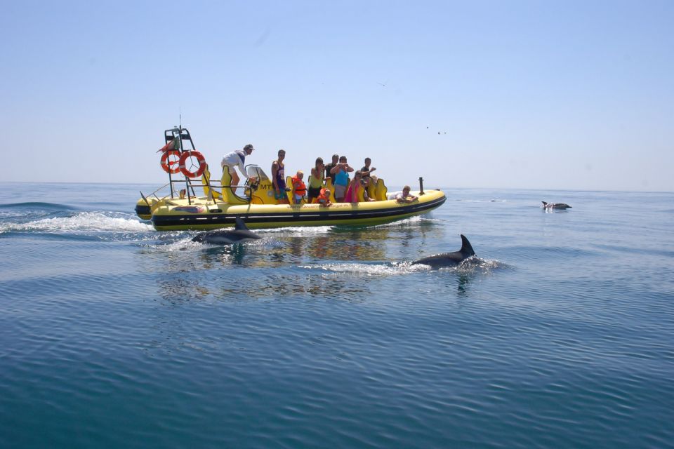 Algarve Coast: Dolphin Watching & Cave Tour - Booking and Availability