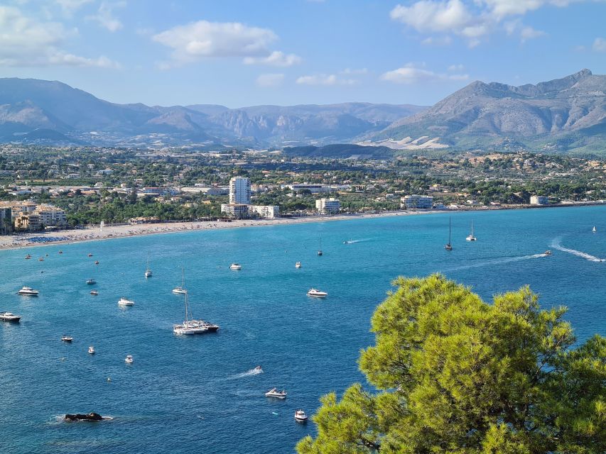 Alicante Private Guided Walking Tour - Tour Highlights