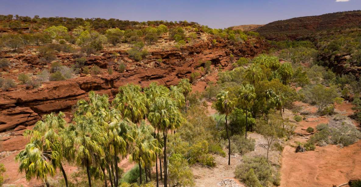 Alice Springs: 4WD Palm Valley Tour With Lunch - Booking Information