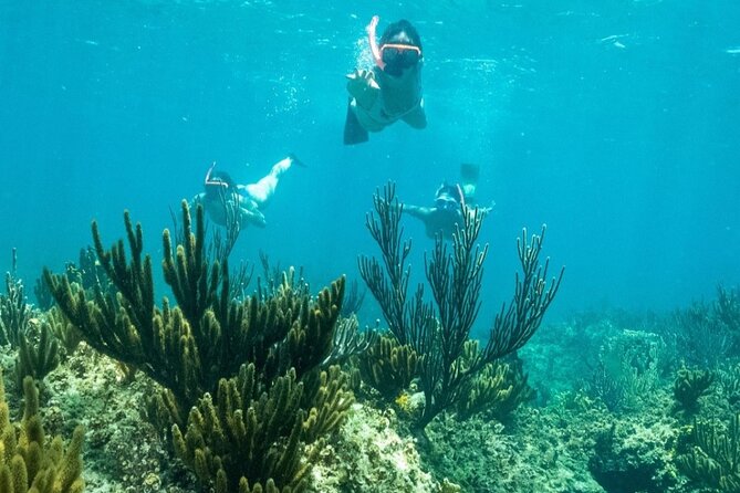 All Day Adventure With a Beach BBQ Feast From Providenciales - Pickup Locations and Options