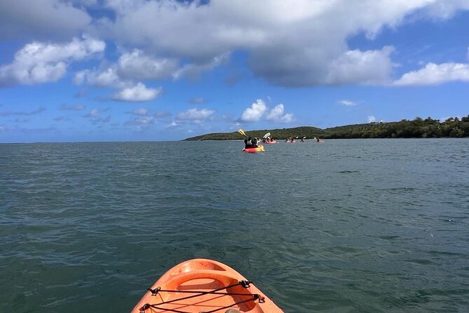 All Day Kayak Rental in Puerto Rico - What to Bring