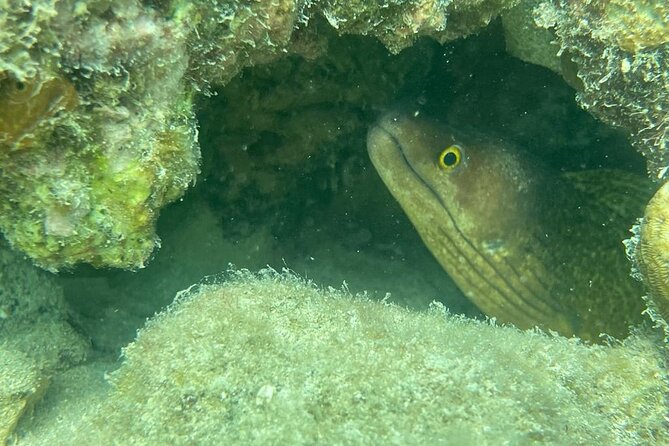 All Day Snorkeling Gear Rental in Puerto Rico - Booking Your Snorkeling Adventure